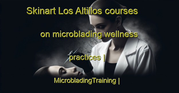 Skinart Los Altillos courses on microblading wellness practices | MicrobladingTraining | MicrobladingClasses | SkinartTraining-Venezuela